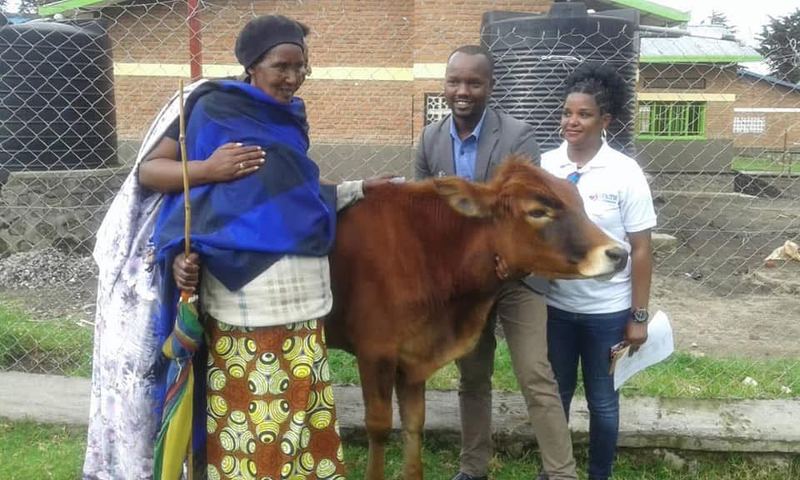 A woman in a blue shawl standing beside a brown cow with two people in smart clothes