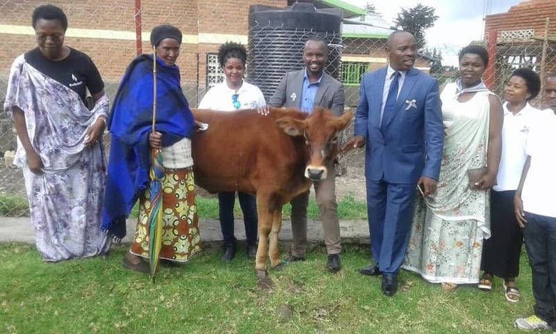 Adults in formal and traditional clothes standing around a brown cow on the grass